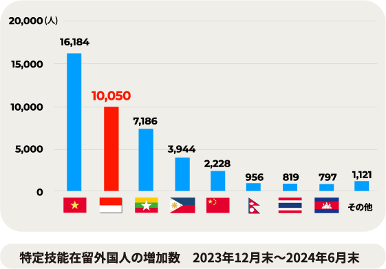 特定技能在留外国人の増加数　2023年12月末〜2024年6月末