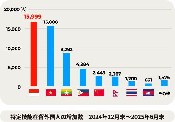 特定技能在留外国人の増加数　2024年12月末〜2025年6月末